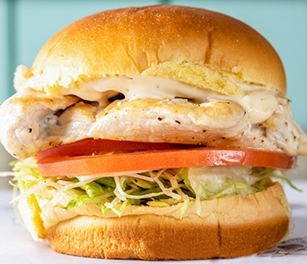 Grilled Chicken sandwich with Marinated Chicken, Lettuce, Tomato, Lemon Aioli on a Potato Roll